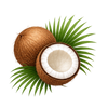 Goa